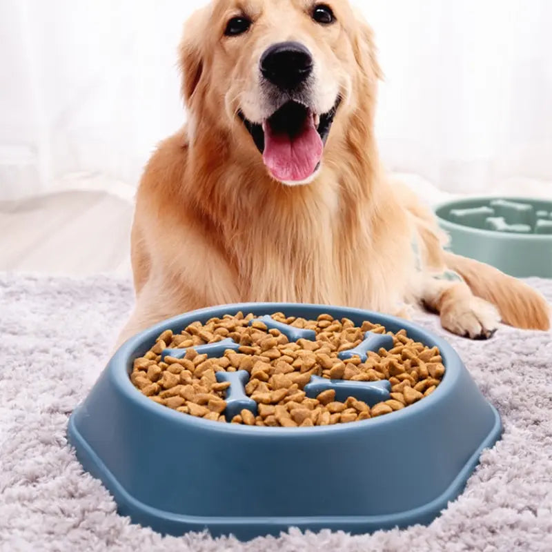 Slow Feeder Dog Bowl – Slows Fast Eating